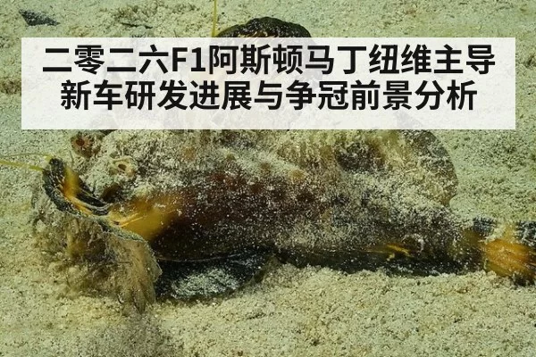 二零二六F1阿斯顿马丁纽维主导新车研发进展与争冠前景分析